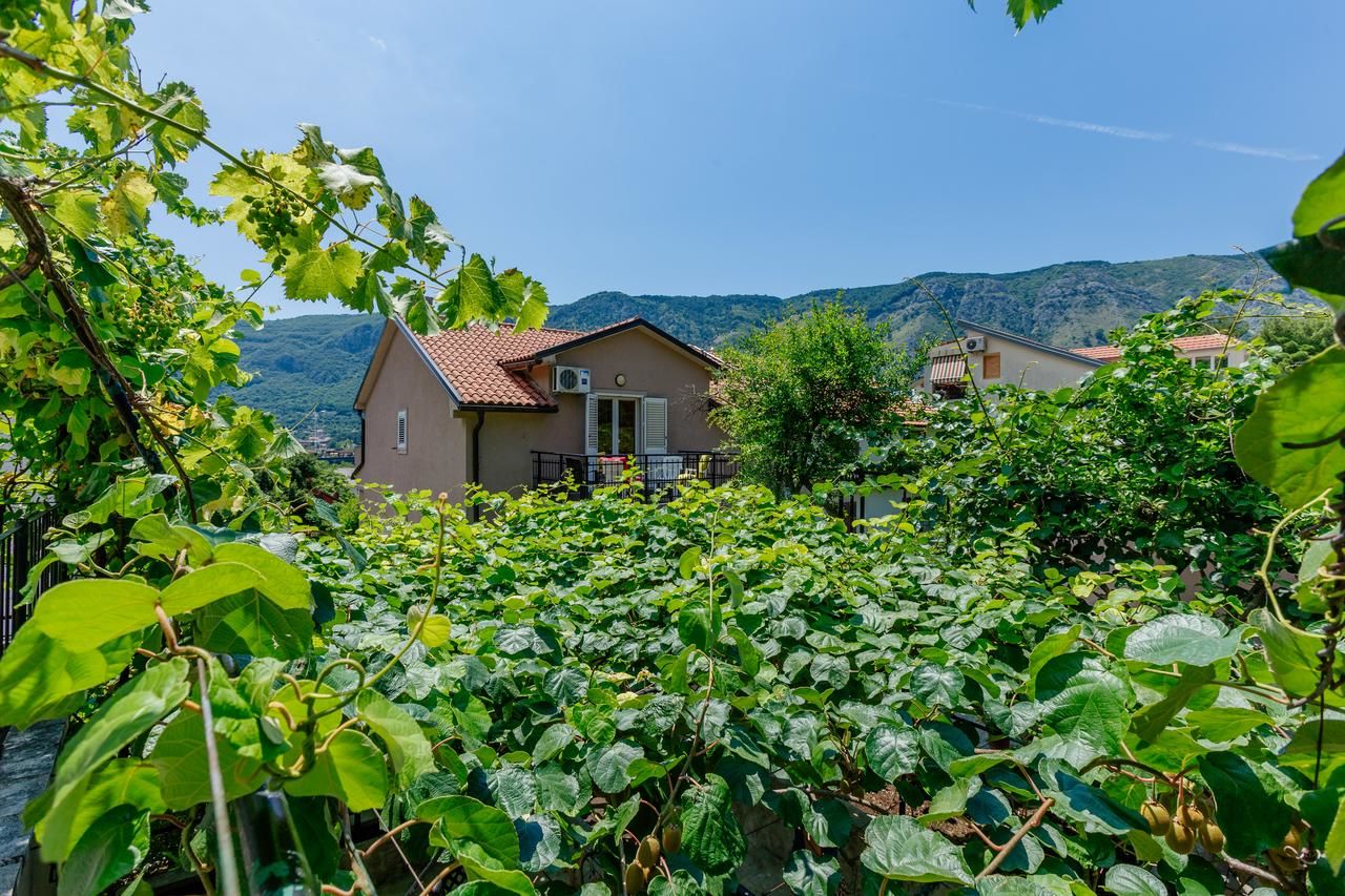 Апартаменты Spacious Central Magik Котор-45