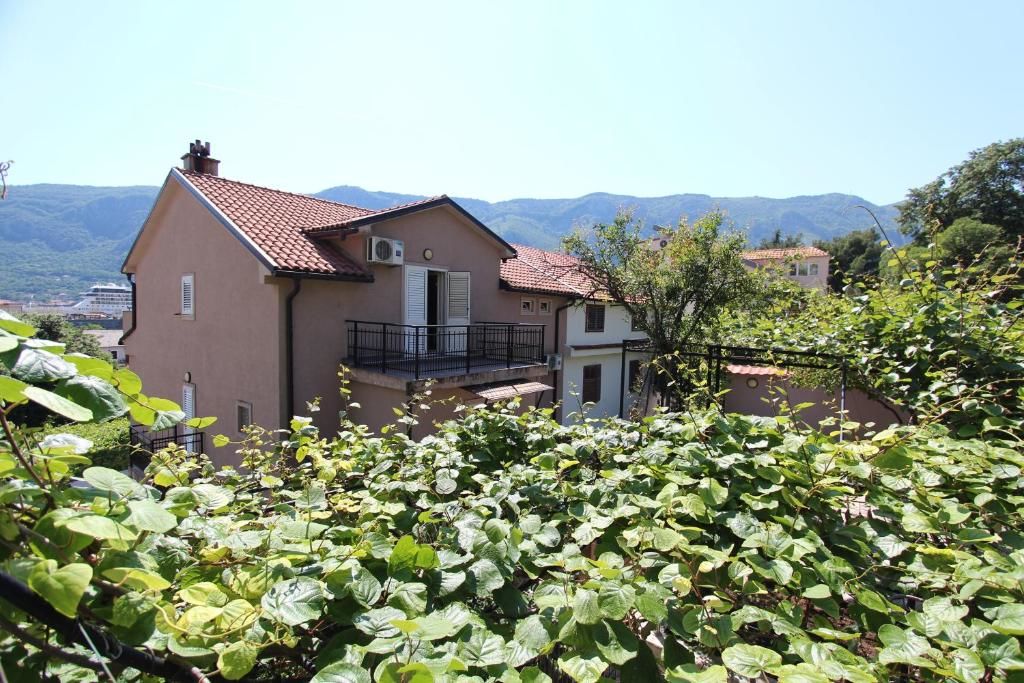 Апартаменты Spacious Central Magik Котор-48