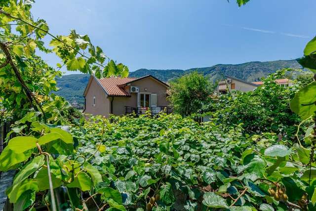 Апартаменты Spacious Central Magik Котор-44